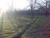 Satılır 15 sot torpaq İsmayıllı