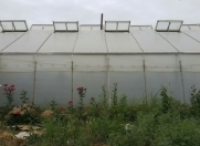 Satılır 200 sot torpaq Salyan