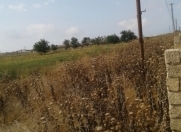 Satılır 500 sot torpaq Savalan