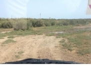 Satılır 300 sot torpaq Xızı