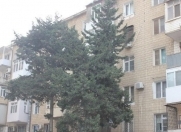 İcarəyə verilir 2 otaqlı 80 m2 köhnə tikili Fövqəladə Hallar Nazirliyi