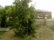 Satılır 2.5 sot torpaq Sumqayıt