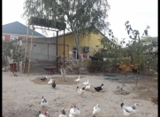 Satılır 4 otaqlı 120 m2 həyət evi Azneft meydanı