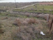 Satılır 5 sot torpaq Saray