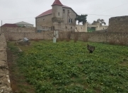 Satılır 4 sot torpaq Türkan