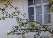 Satılır 4 otaqlı 86.6 m2 həyət evi Şəki