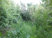 Satılır 5 sot torpaq Aqua Park