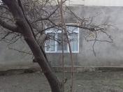 Satılır 40 sot torpaq Qusar