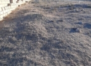 Satılır 6 sot torpaq Biləcəri