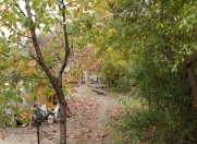 Satılır 4 sot torpaq Rəsulzadə