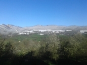 Satılır 40 sot torpaq Quba