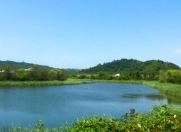 İcarəyə verilir 5 sot torpaq İmişli