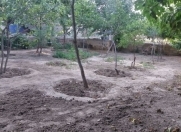 Satılır 4 sot torpaq Sumqayıt