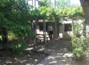 Satılır 3 otaqlı 2500 m2 bağ evi Görədil