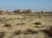 Satılır 12 sot torpaq Savalan