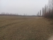 Satılır 140 sot torpaq Quba