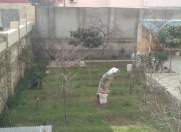 Satılır 3 sot torpaq Rəsulzadə