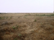 Satılır 210 sot torpaq Bakıxanov