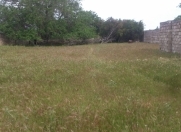 Satılır 14 sot torpaq Buzovna