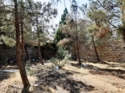 Satılır 5.4 sot torpaq Şağan