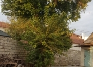 Satılır 4.6 sot torpaq Atatürk parkı