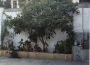 Satılır 6.5 sot torpaq Gənclik m.