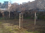 Satılır 2.8 sot torpaq Biləcəri