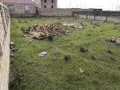 Satılır 6 sot torpaq Ceyranbatan