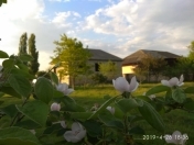 Satılır 15 sot torpaq Salyan