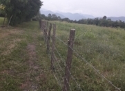 Satılır 150 sot torpaq Zaqatala