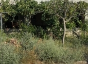 Satılır 4 otaqlı 130 m2 həyət evi Şağan