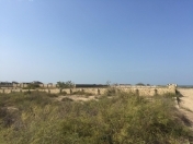 Satılır 50 sot torpaq Nardaran