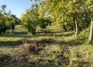 Satılır 10 sot torpaq Göyçay