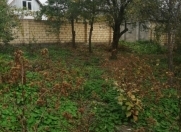 Satılır 3 sot torpaq Qəbələ