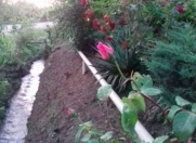 Satılır 5 sot torpaq Lənkəran