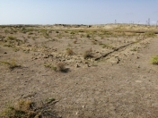 Satılır 4 sot torpaq Y.Suraxanı