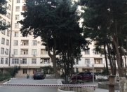 Satılır 3 otaqlı 113 m2 yeni tikili Ukrayna dairəsi