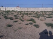 Satılır 15 sot torpaq Hövsan