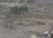 Satılır 10 sot torpaq Türkan