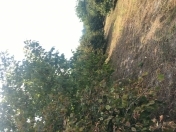 Satılır 2 otaqlı 50 m2 həyət evi Qax