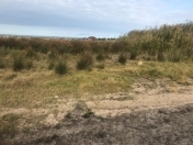 Satılır 12 sot torpaq Novxanı