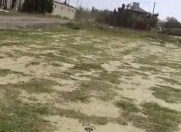 Satılır 2 sot torpaq Saray