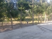 Satılır 24 sot torpaq Mərdəkan