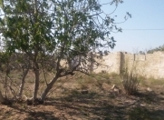 Satılır 3 sot torpaq Qala
