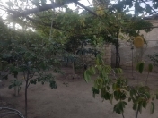 Satılır 2.2 sot torpaq Qaraçuxur