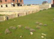 Satılır 6 sot torpaq Mehdiabad