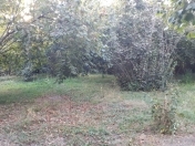 Satılır 22 sot torpaq Zaqatala