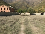 Satılır 7.85 sot torpaq Qax