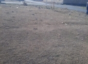 Satılır 4 sot torpaq Zaqatala