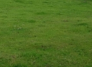 Satılır 6 sot torpaq Qazax